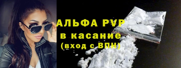 индика Арсеньев