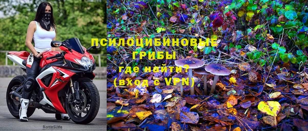 прущие крисы Балахна