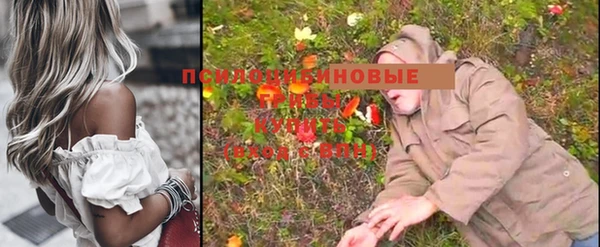 каннабис Баксан