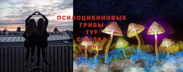 прущие крисы Балахна